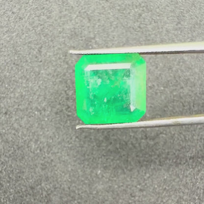 Natural Emerald (Panna) Gemstone – Square Shape (7.25 Carat | 7.90 Ratti | 11.8 × 11.4 × 6.3 mm)